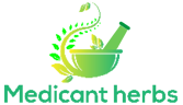 Awesome Logo